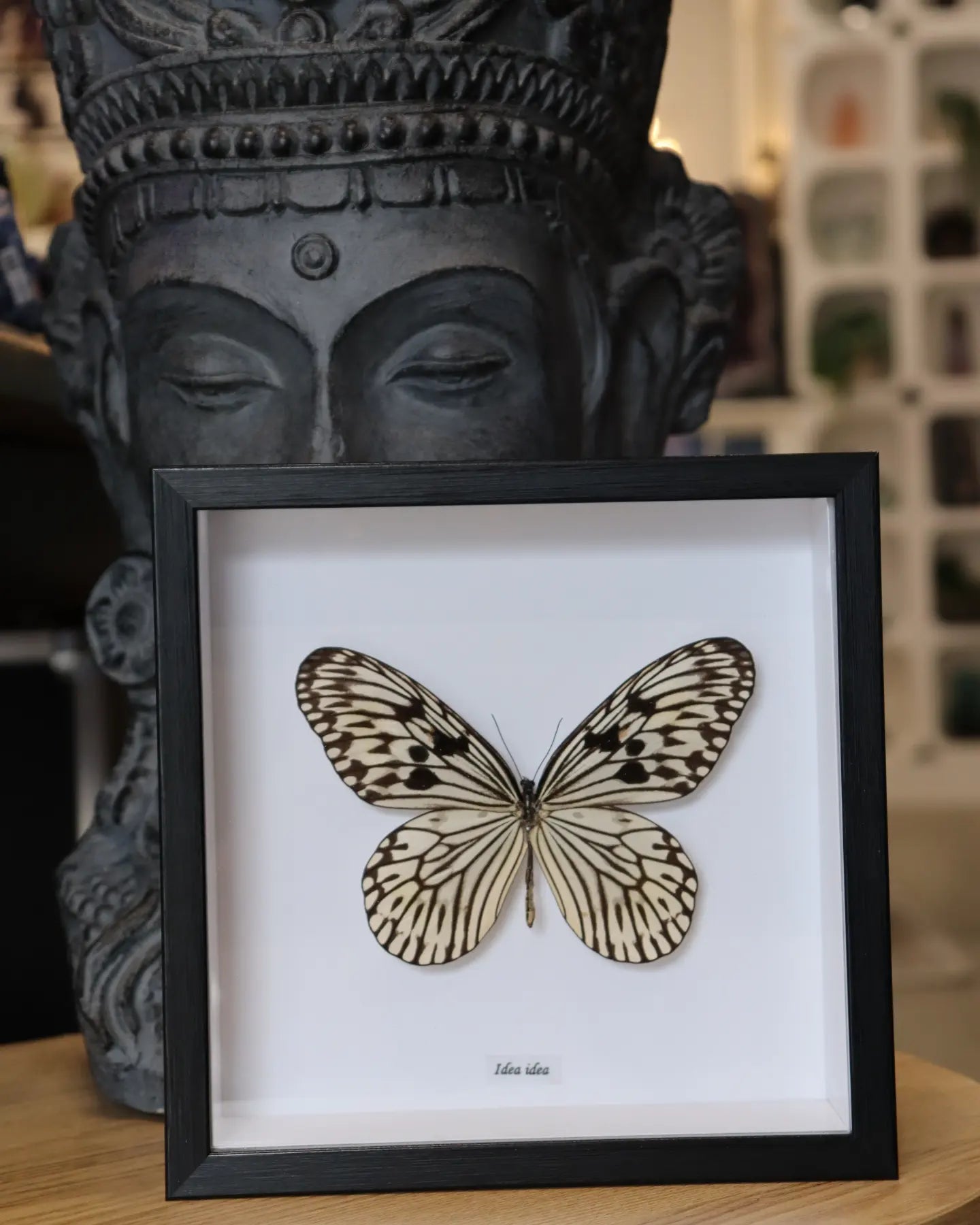 Idea Idea Butterfly