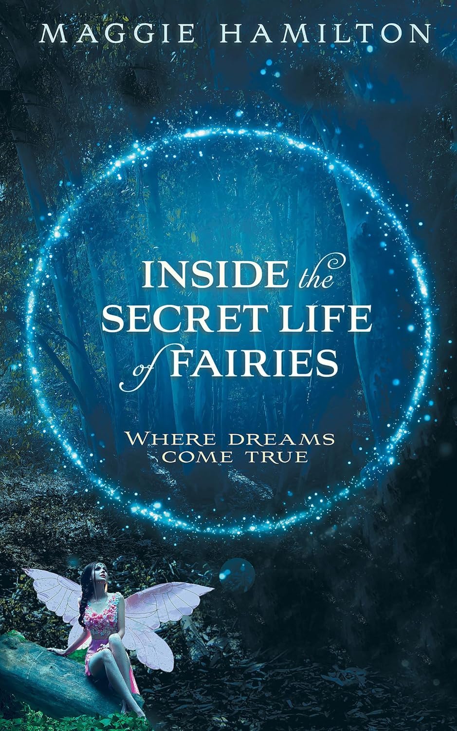 Inside The Secret of Fairies: Where Dreams Come True