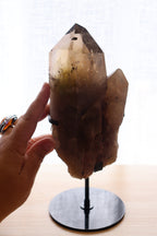 Smokey Quartz Cluster + Stand  | 1.096kg