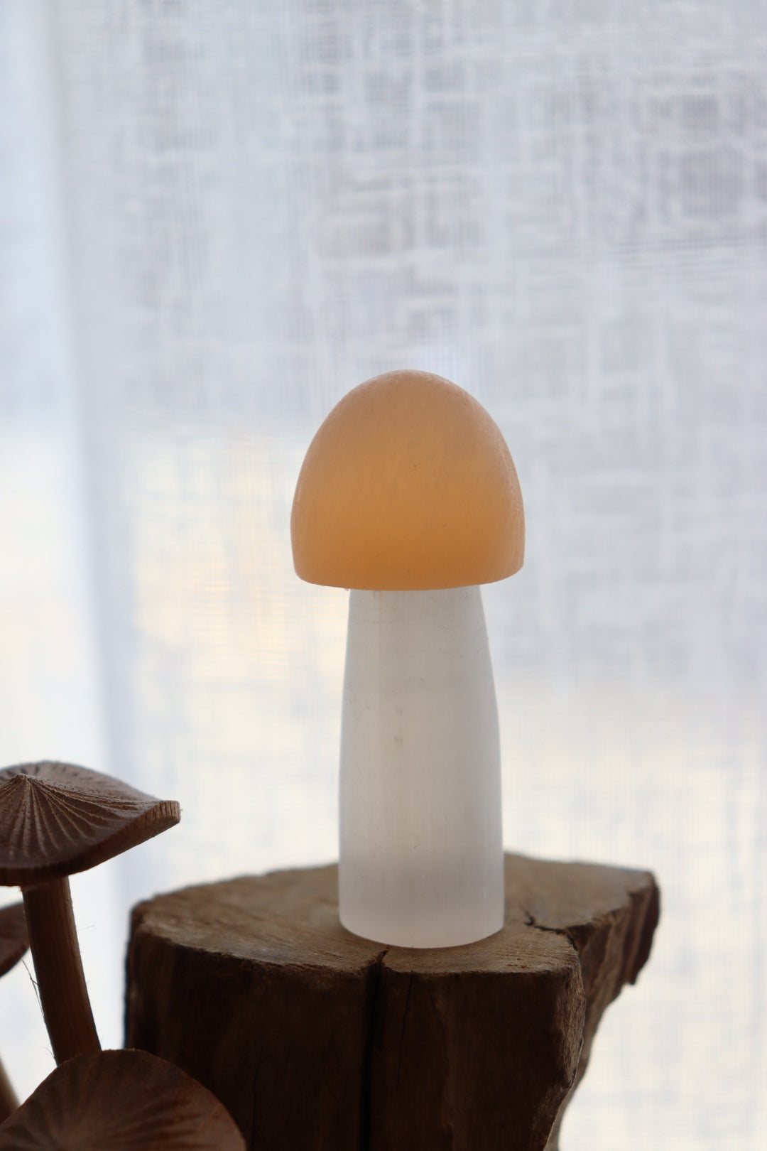 Selenite Mushroom