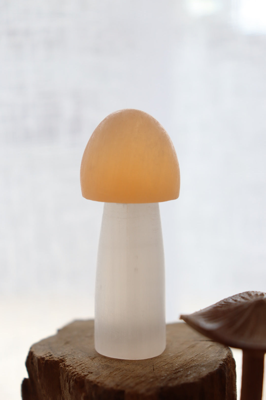 Selenite Mushroom