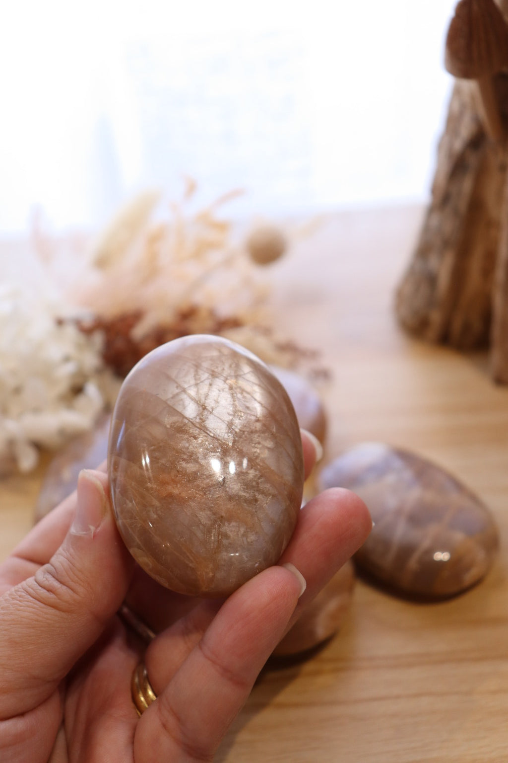 Peach Moonstone Palm | Large