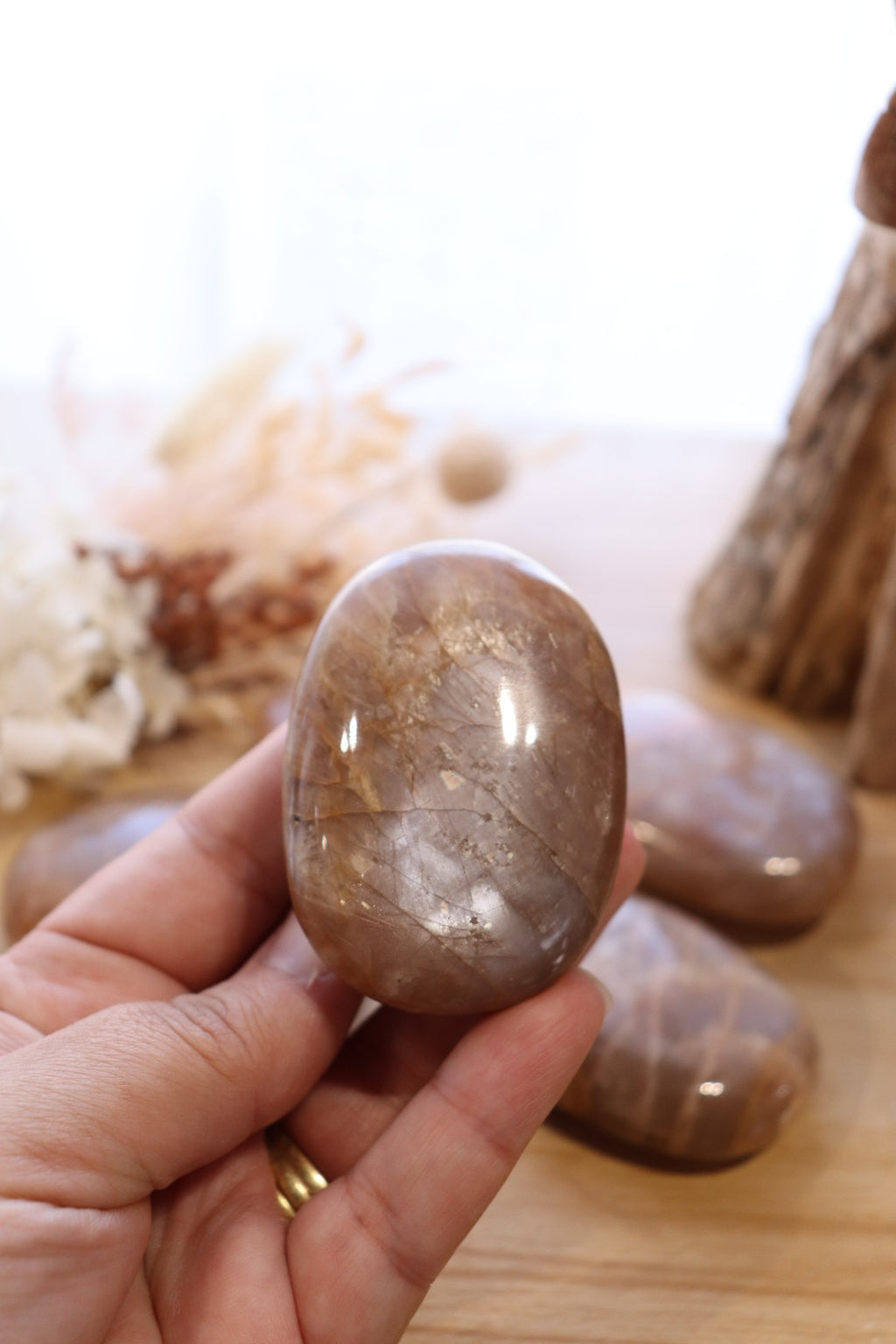 Peach Moonstone Palm | Large