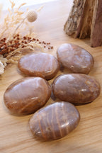 Peach Moonstone Palm | Large