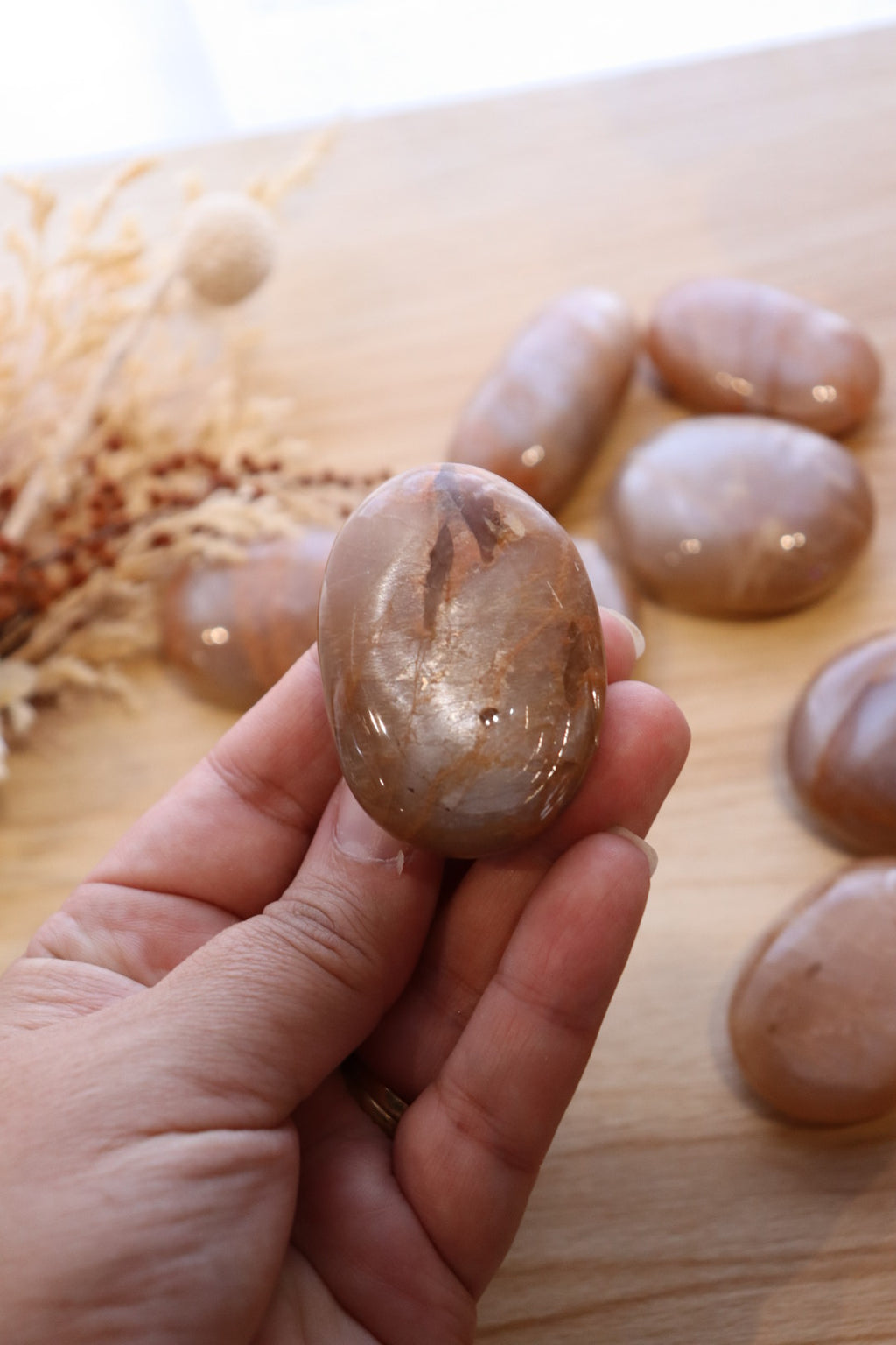 Peach Moonstone Palm | Medium