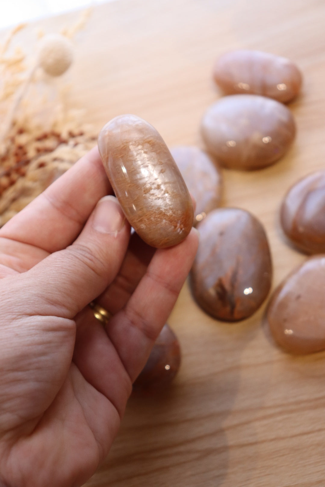 Peach Moonstone Palm | Medium