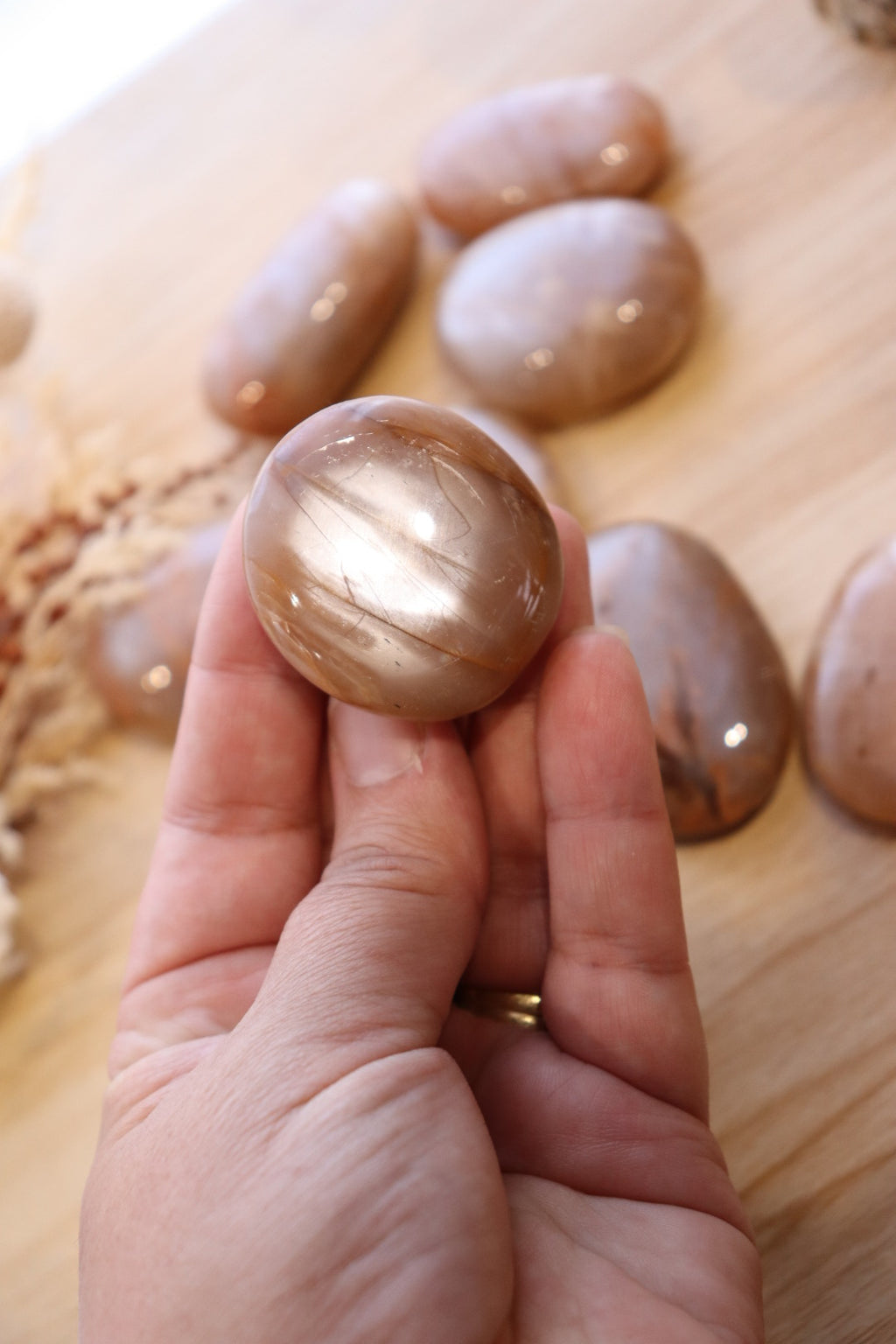 Peach Moonstone Palm | Medium