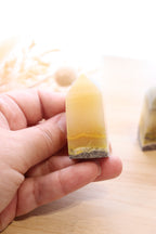 Bumble Bee Jasper Point | 47g - 50g