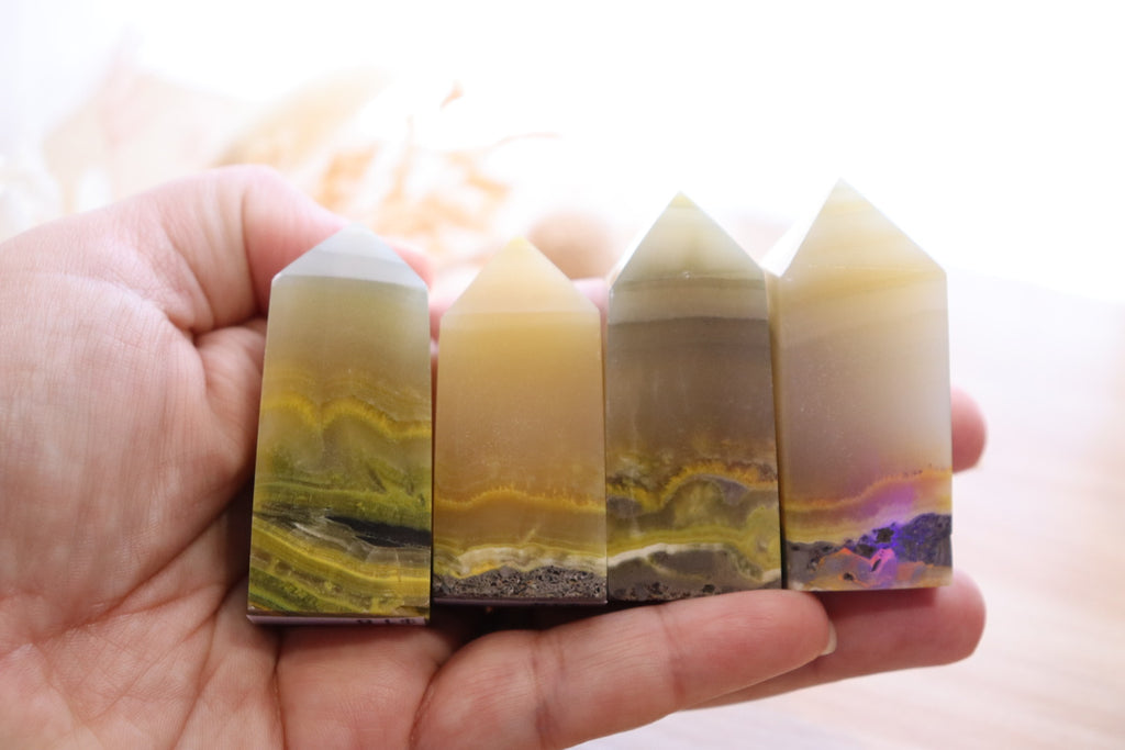 Bumble Bee Jasper Point | 47g - 50g