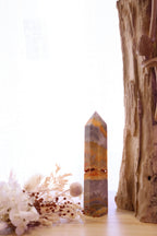 Bumble Bee Jasper Point | 166g