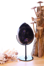 Septarian Egg + Black Metal Stand | 1.282kg
