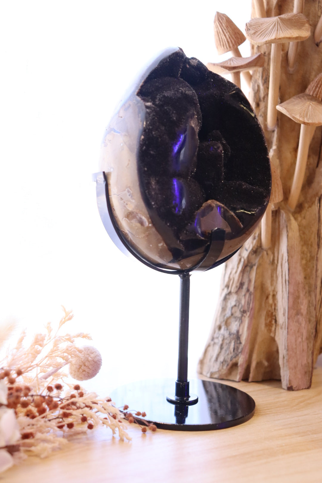 Septarian Egg + Black Metal Stand | 1.282kg