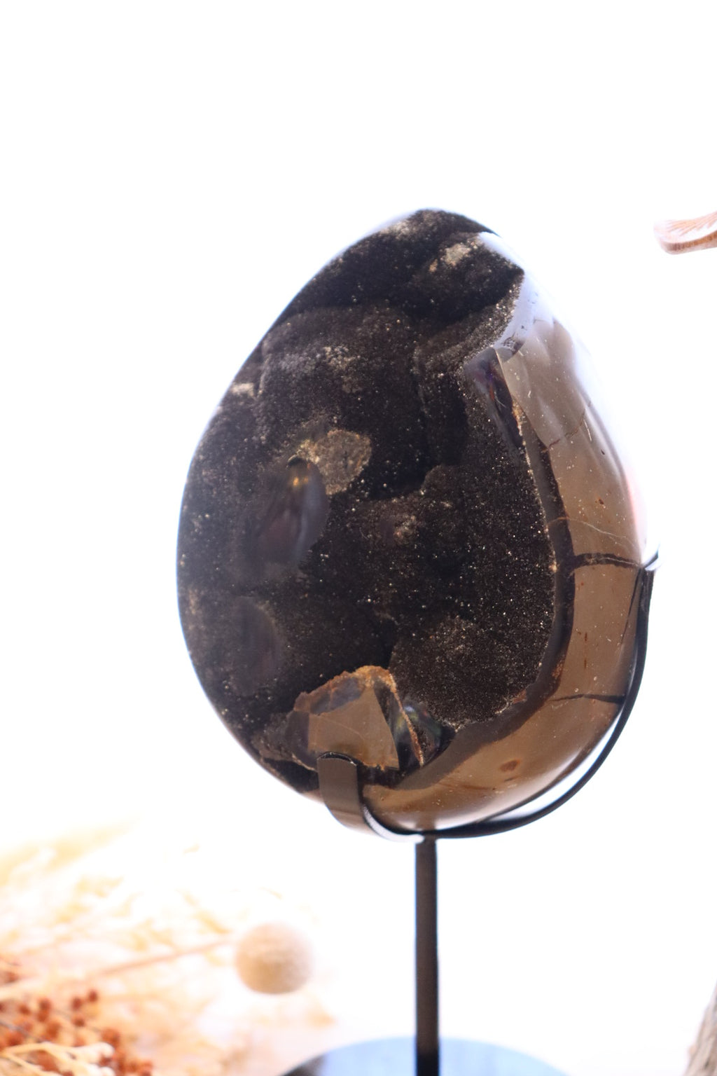 Septarian Egg + Black Metal Stand | 1.282kg