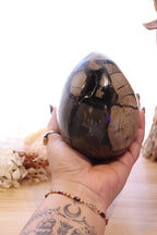 Septarian Egg + Black Metal Stand | 1.282kg