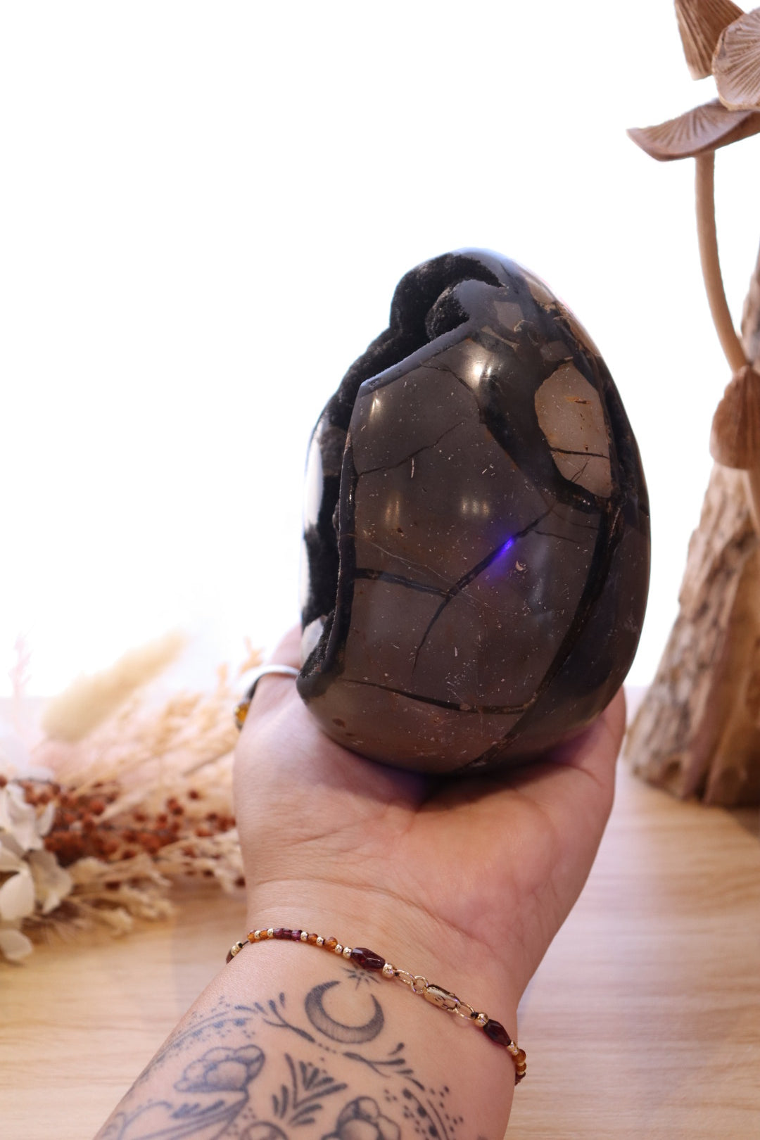 Septarian Egg + Black Metal Stand | 1.282kg