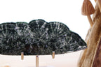 Seraphinite Slab + Stand | 122g
