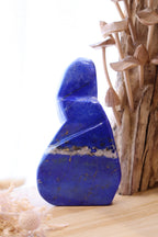 Lapis Lazuli Free-Form | 797g