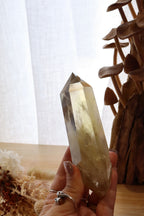 Citrine Point + Stand | 272g