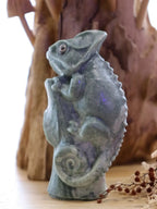 Green Jade | Chameleon