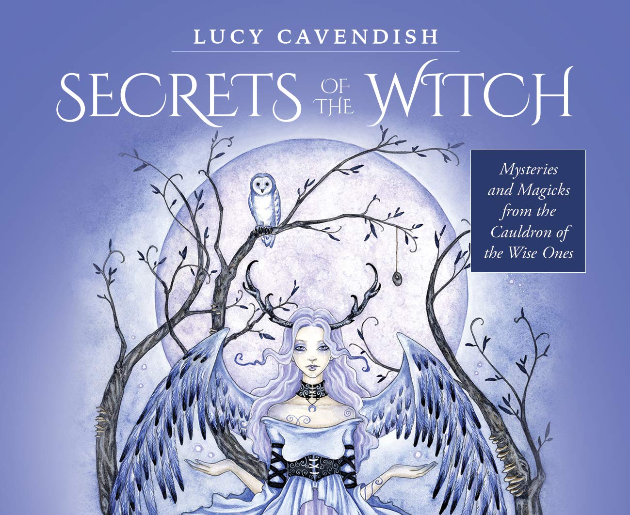 Secrets Of The Witch Mini Deck: Mysteries and Magicks from the Cauldron of the Wise Ones