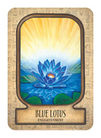 Auset Egyptian Oracle Cards: Ancient Egyptian Divination and Alchemy Cards