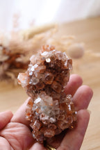 Aragonite Sputnik Cluster | Twin Double