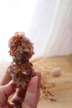 Aragonite Sputnik Cluster | Twin Double
