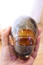 Ammonite Polished | 760g