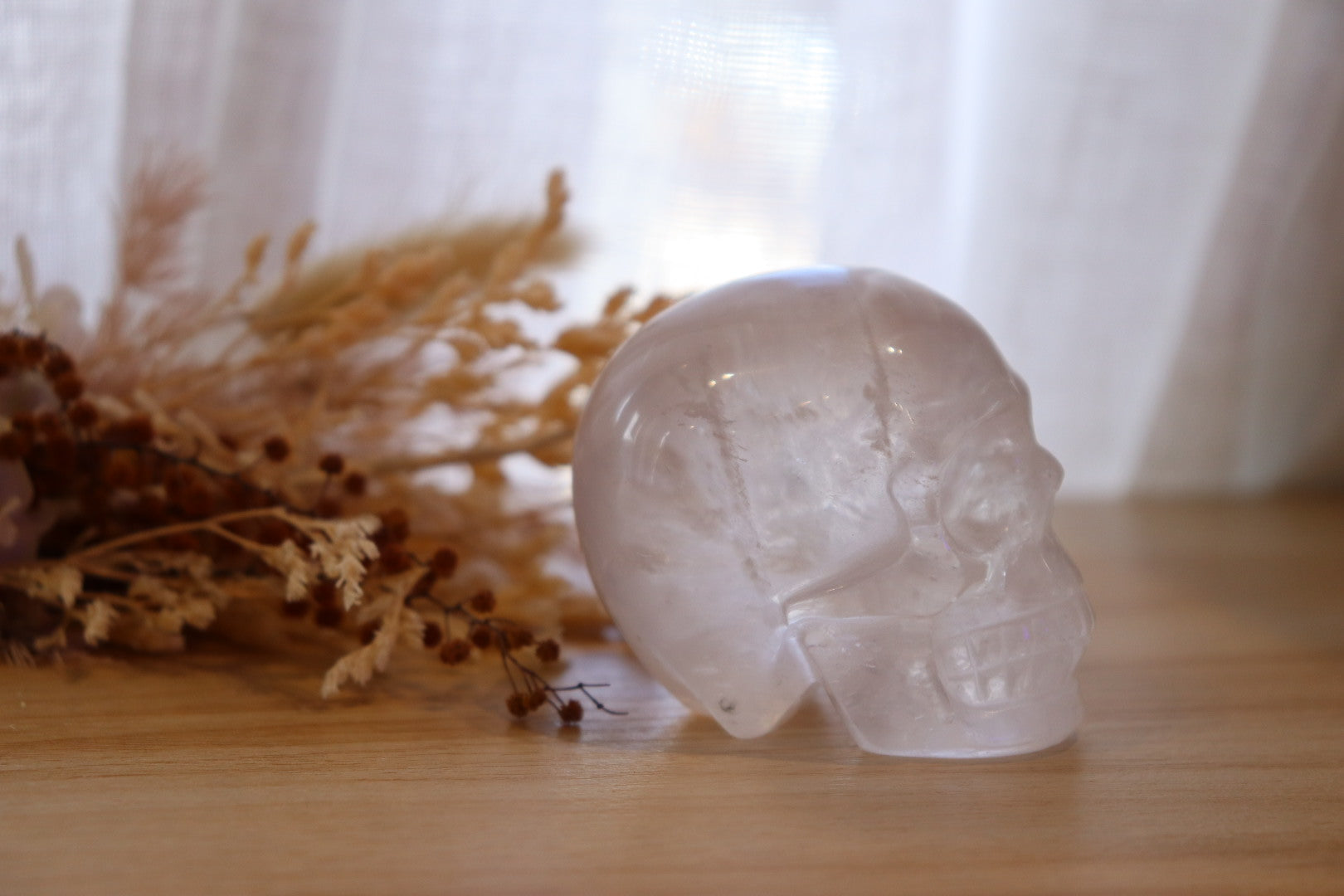 Clear Quartz Skull | 270g