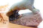 Caribbean Calcite Wolf Carving
