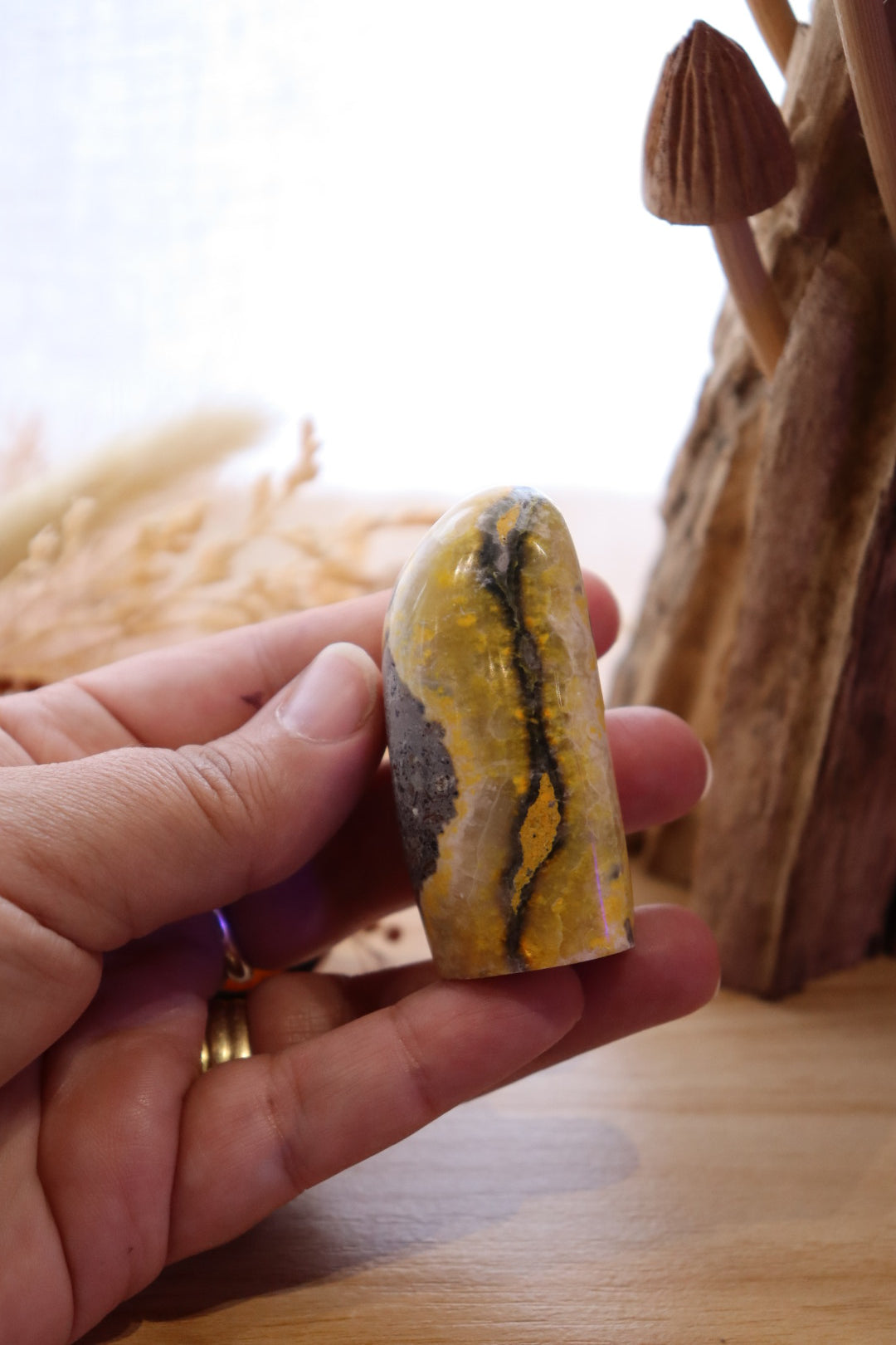 Bumble Bee Jasper Free-Form | 75g