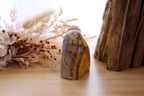 Bumble Bee Jasper Free-Form | 114g