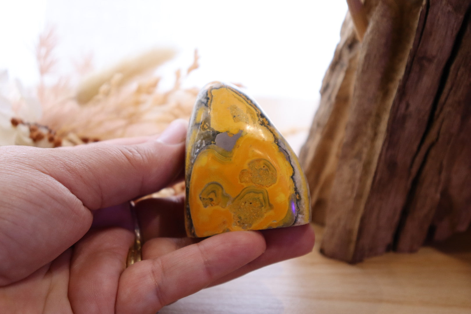 Bumble Bee Jasper Free-Form | 114g