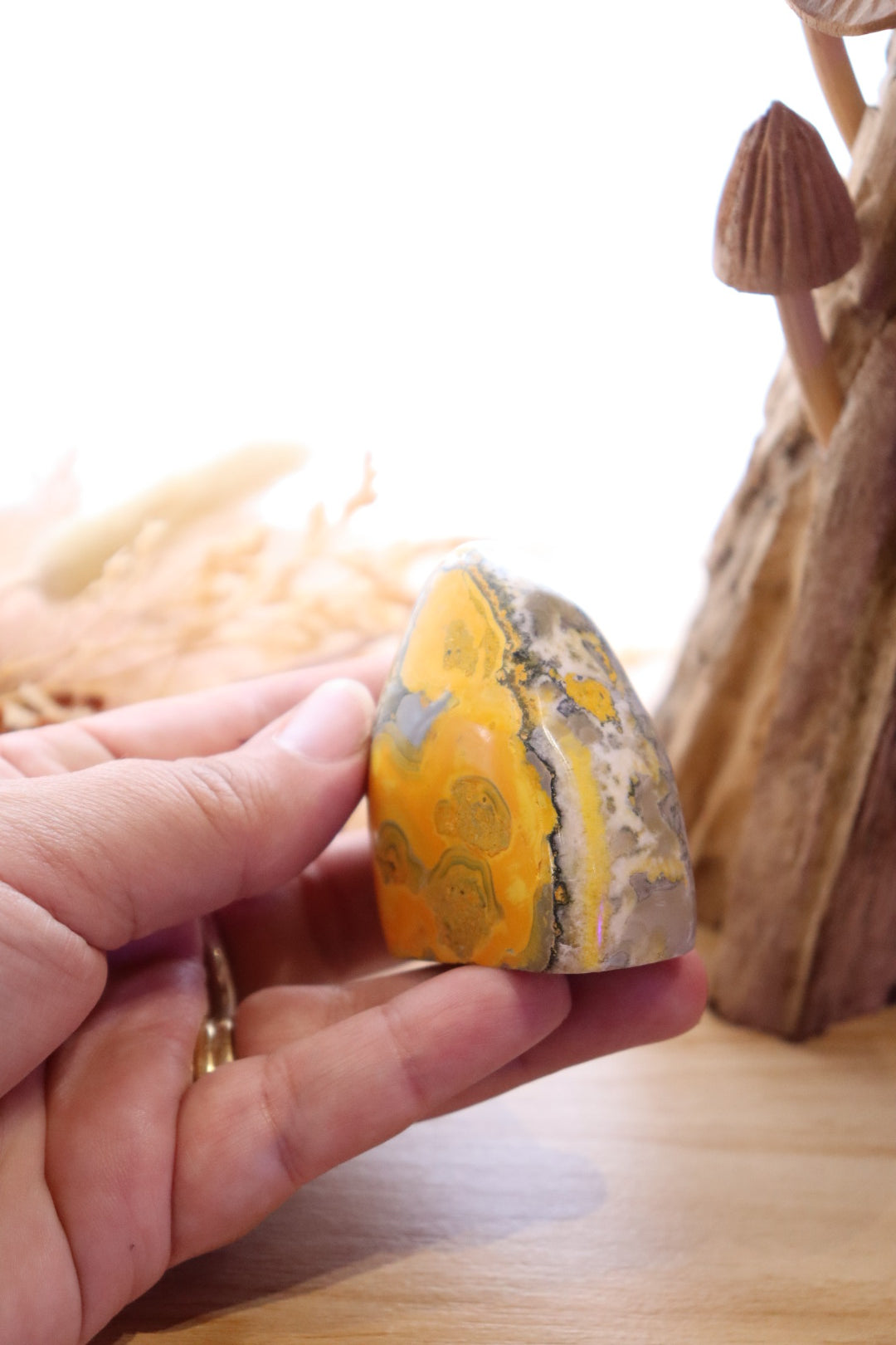 Bumble Bee Jasper Free-Form | 114g