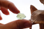 Moldavite Raw | 1.1g
