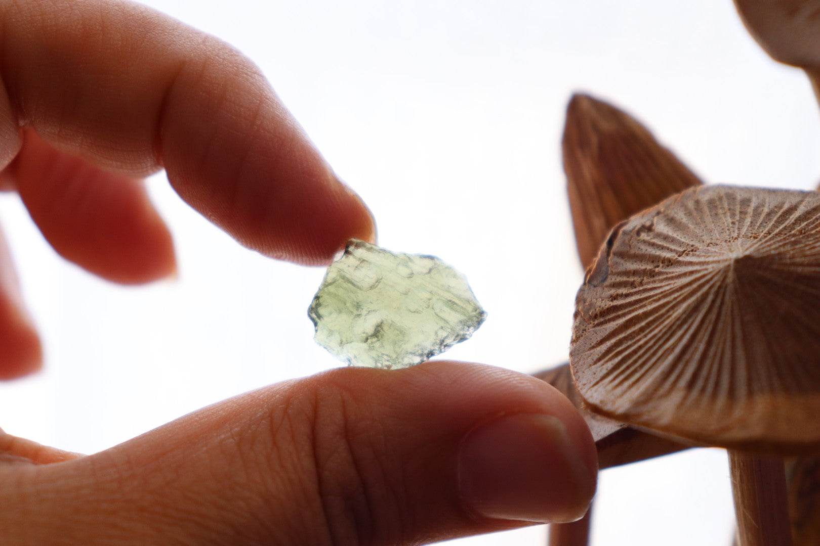Moldavite Raw | 1.1g