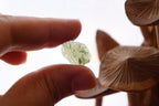 Moldavite Raw | 1.1g