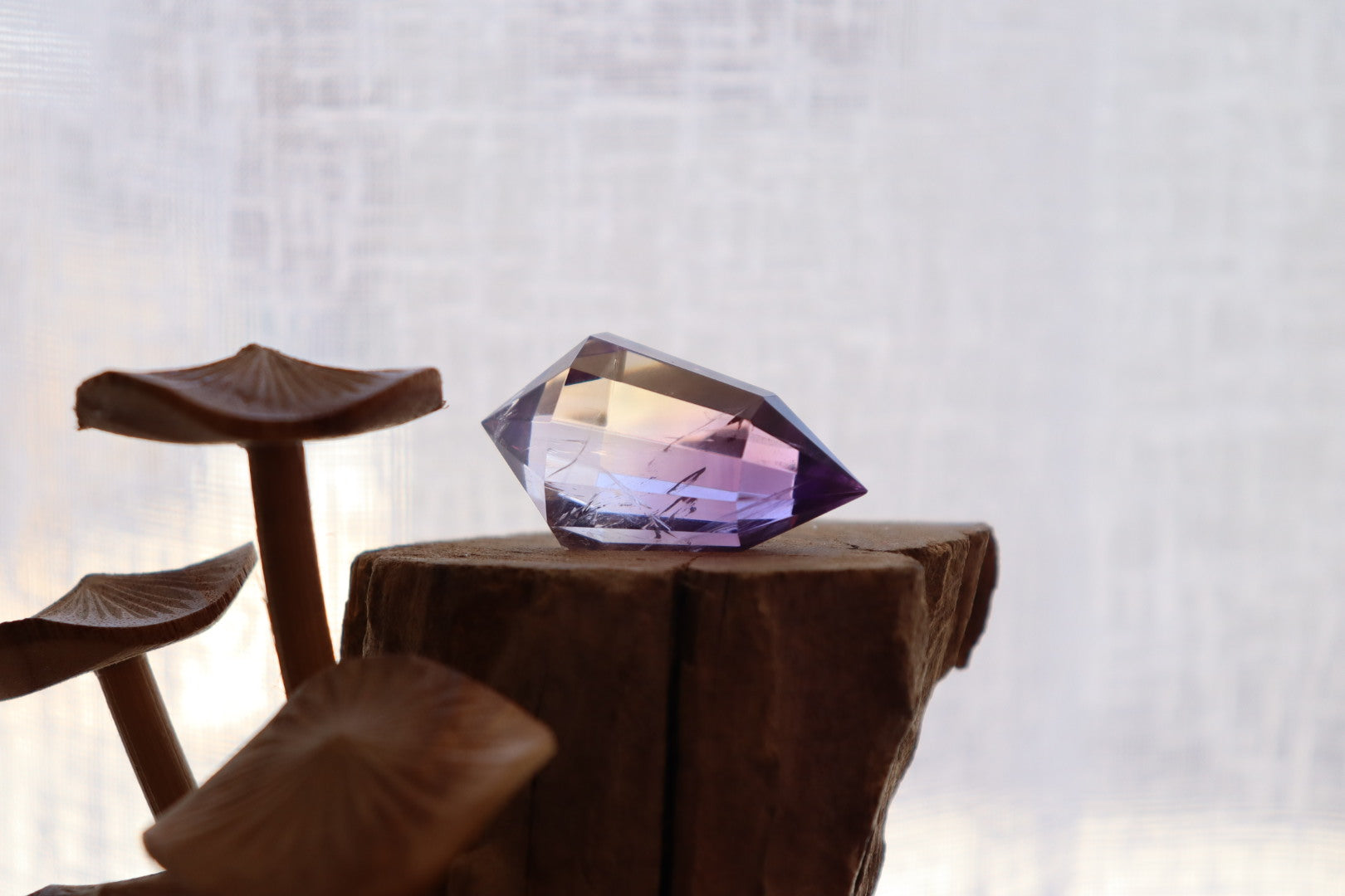 Faceted Ametrine DT | 23.2g