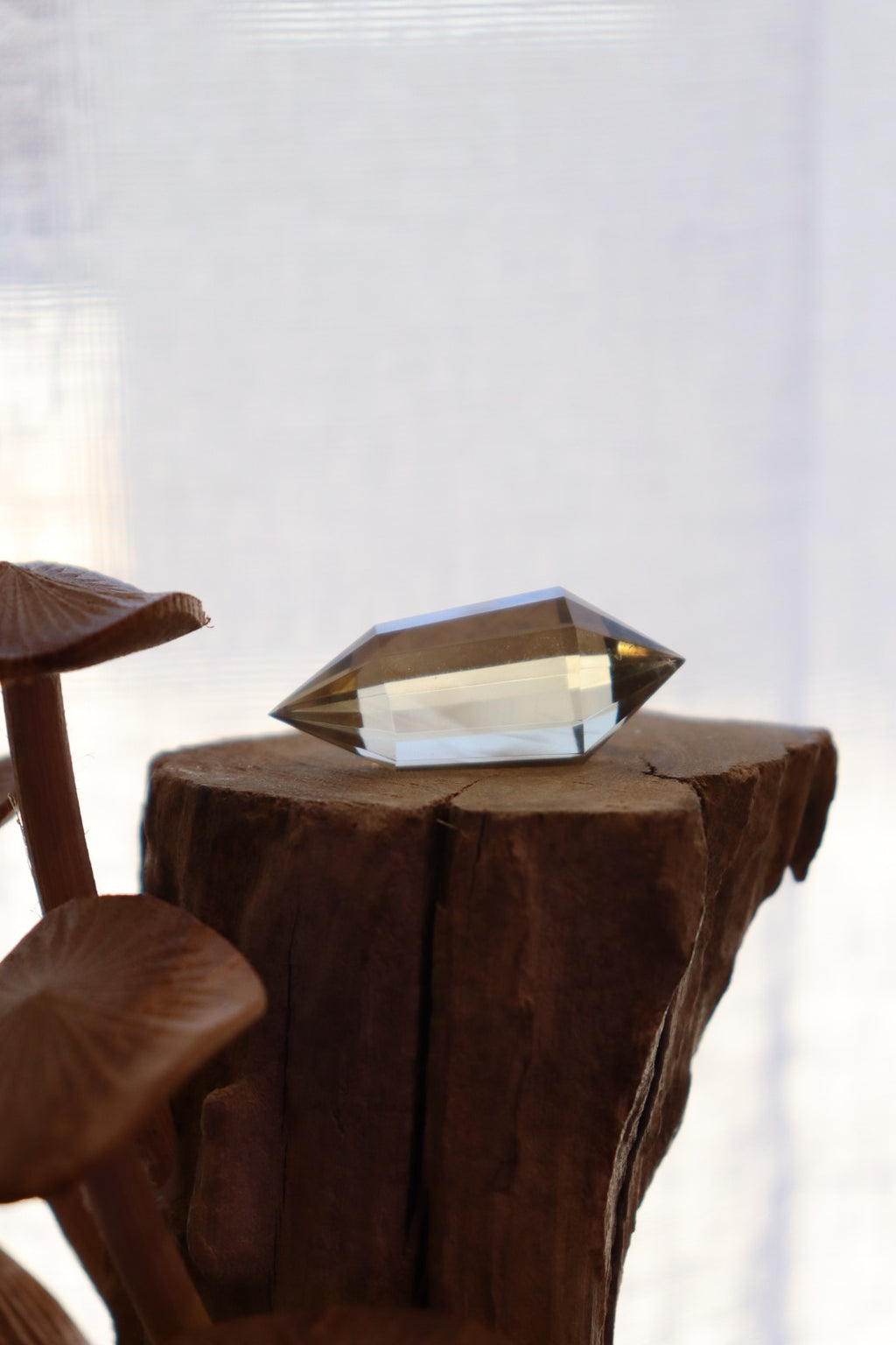 Faceted Citrine DT | 14.7g