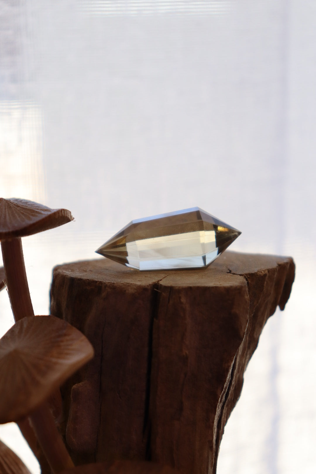 Faceted Citrine DT | 14.7g