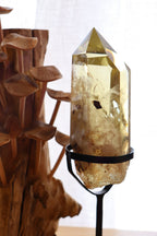 Citrine Raw Point + Stand | 774g