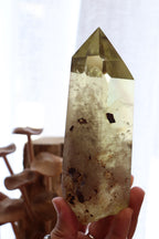 Citrine Raw Point + Stand | 774g
