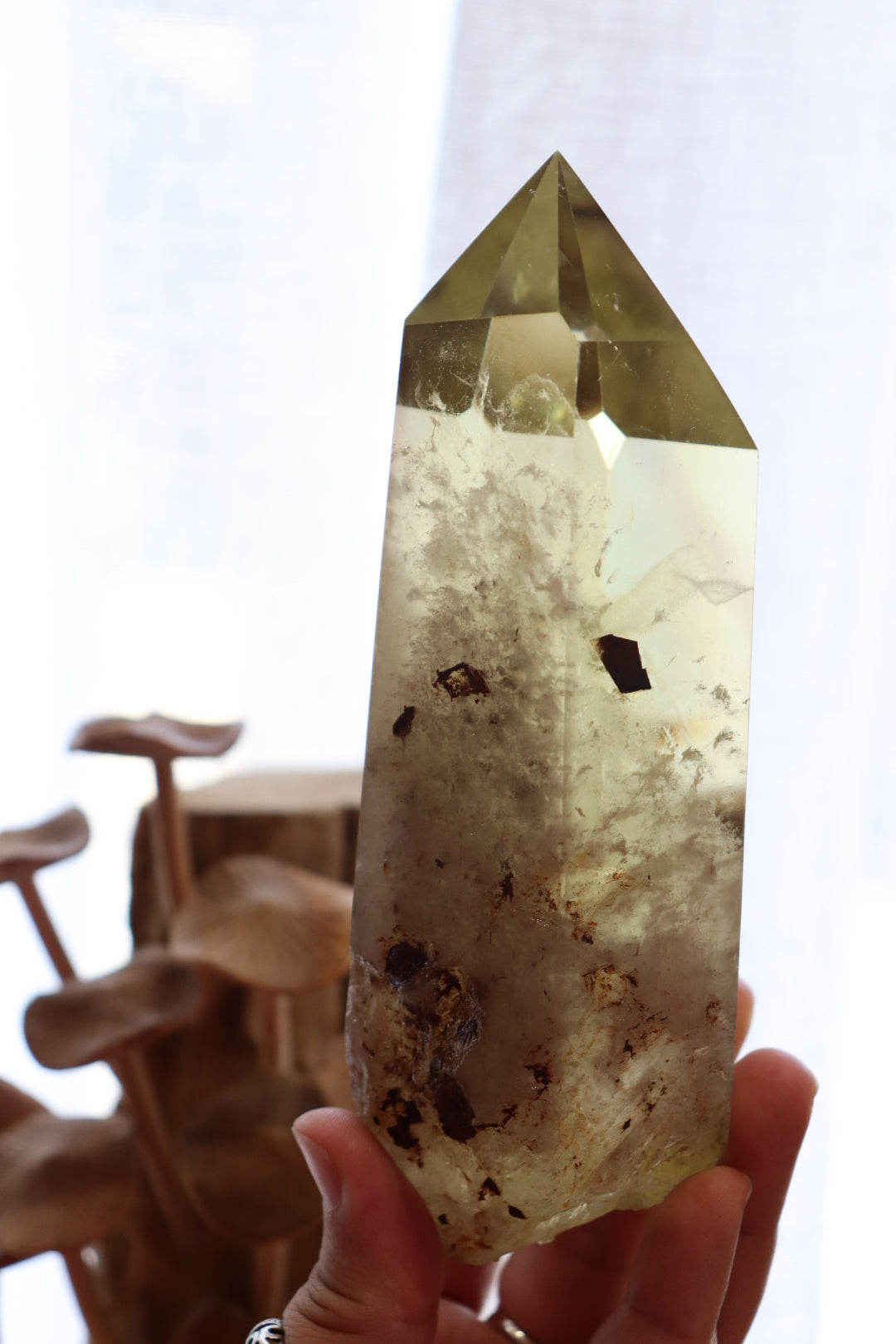 Citrine Raw Point + Stand | 774g