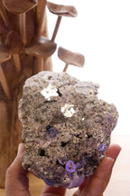 Mica Cluster | 890g