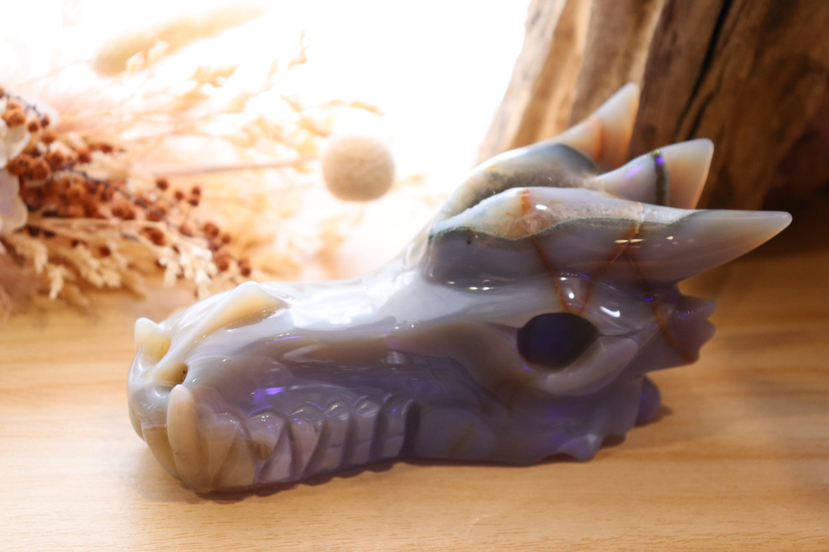 Druzy Agate Dragon Head Carving | 506g