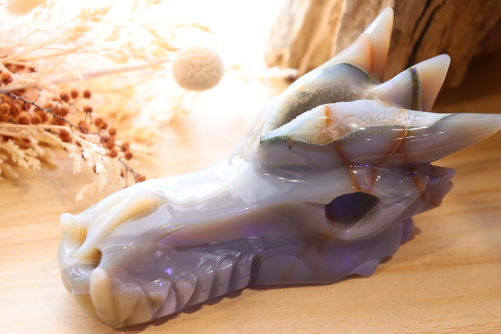 Druzy Agate Dragon Head Carving | 506g