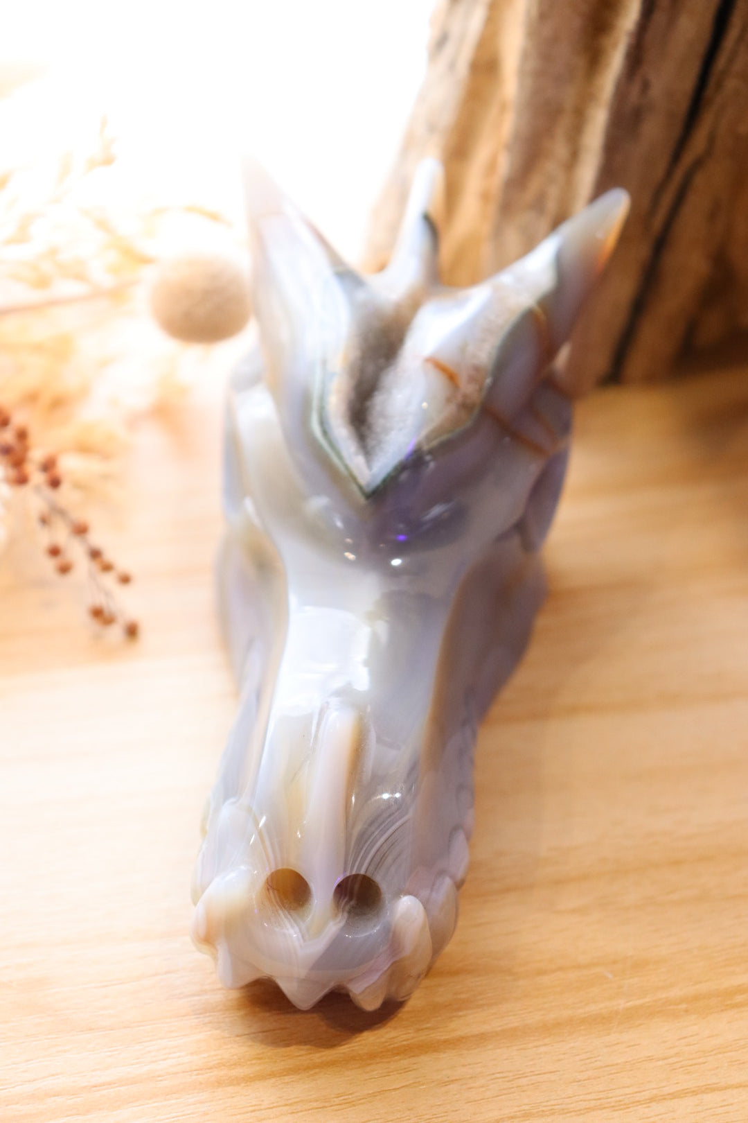 Druzy Agate Dragon Head Carving | 506g