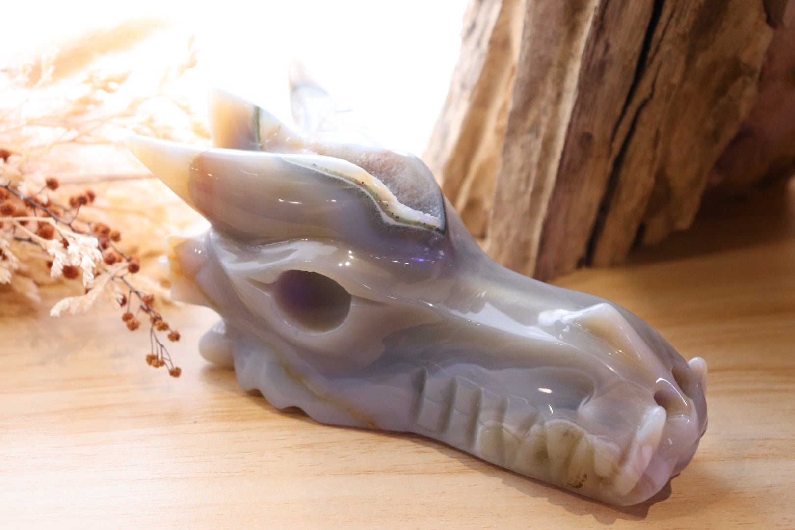 Druzy Agate Dragon Head Carving | 506g