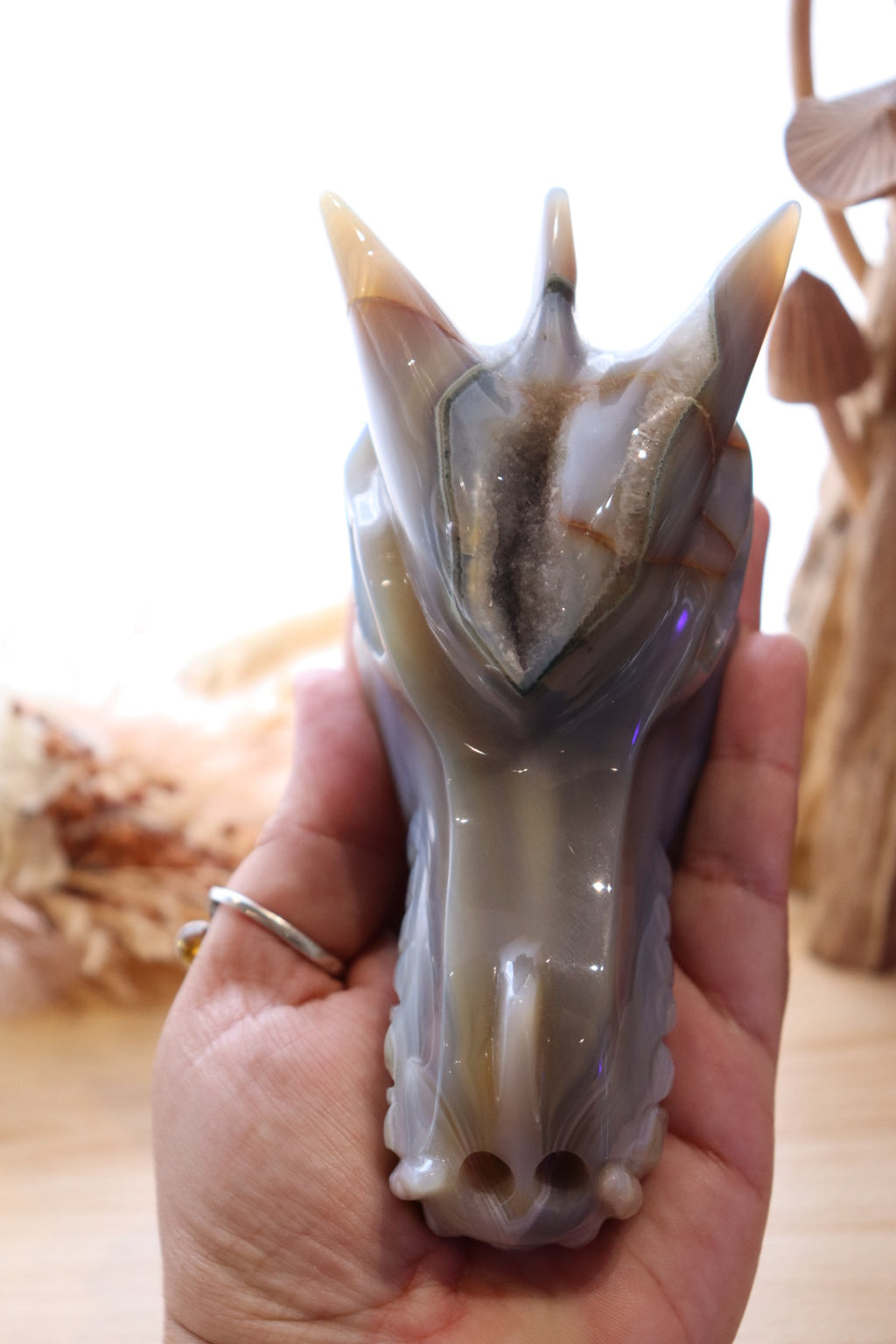 Druzy Agate Dragon Head Carving | 506g