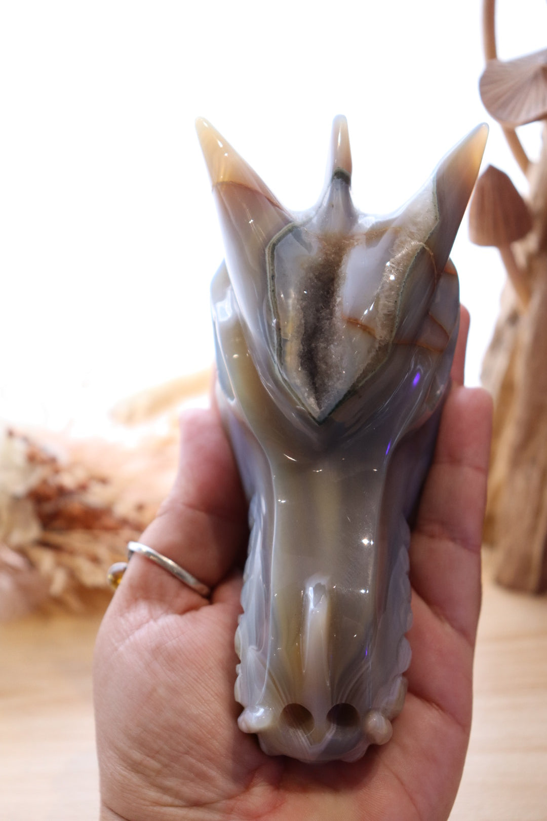 Druzy Agate Dragon Head Carving | 506g